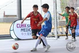 棒球与未来能源太阳能电池板在现代球场屋顶的应用